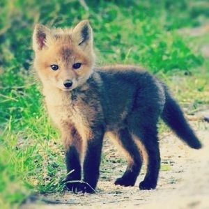 Meet your Posher, Jermaine